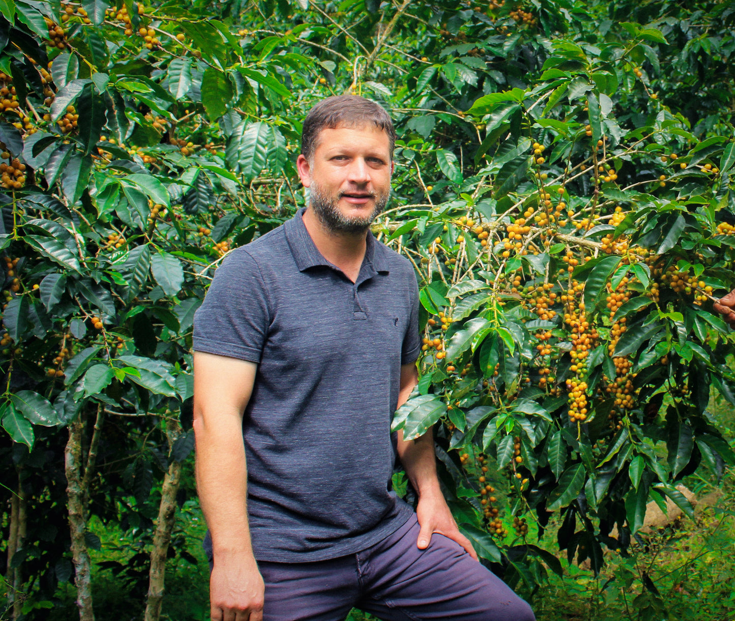 Angel Arturo Paz's Geisha 🇭🇳