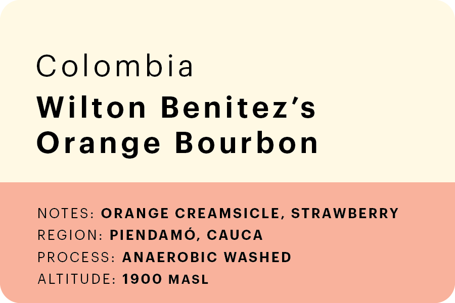 Wilton Benitez' Orange Bourbon🇨🇴