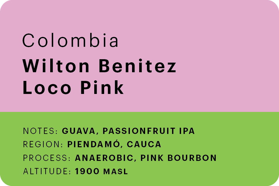 Wilton Benitez 3 coffee bundle 🇨🇴