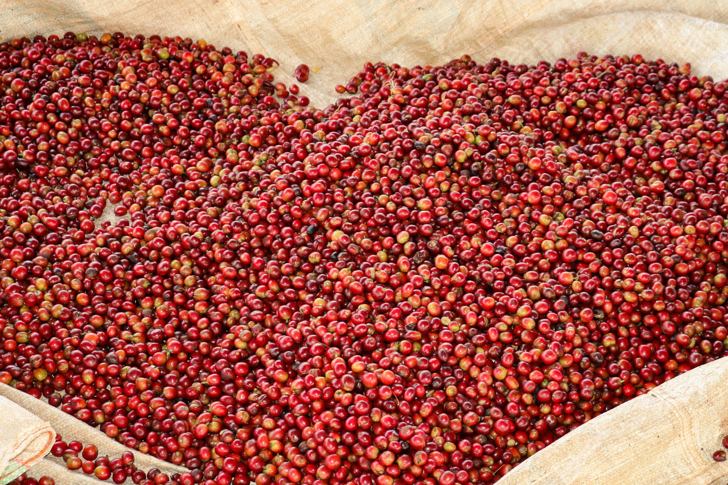 Kiamugumo AA 🇰🇪