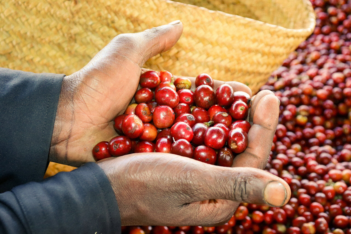 Kiamugumo AA 🇰🇪