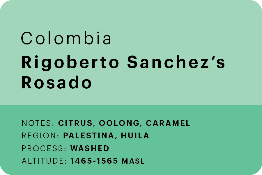 Rigoberto Sanchez's Rosado 🇨🇴