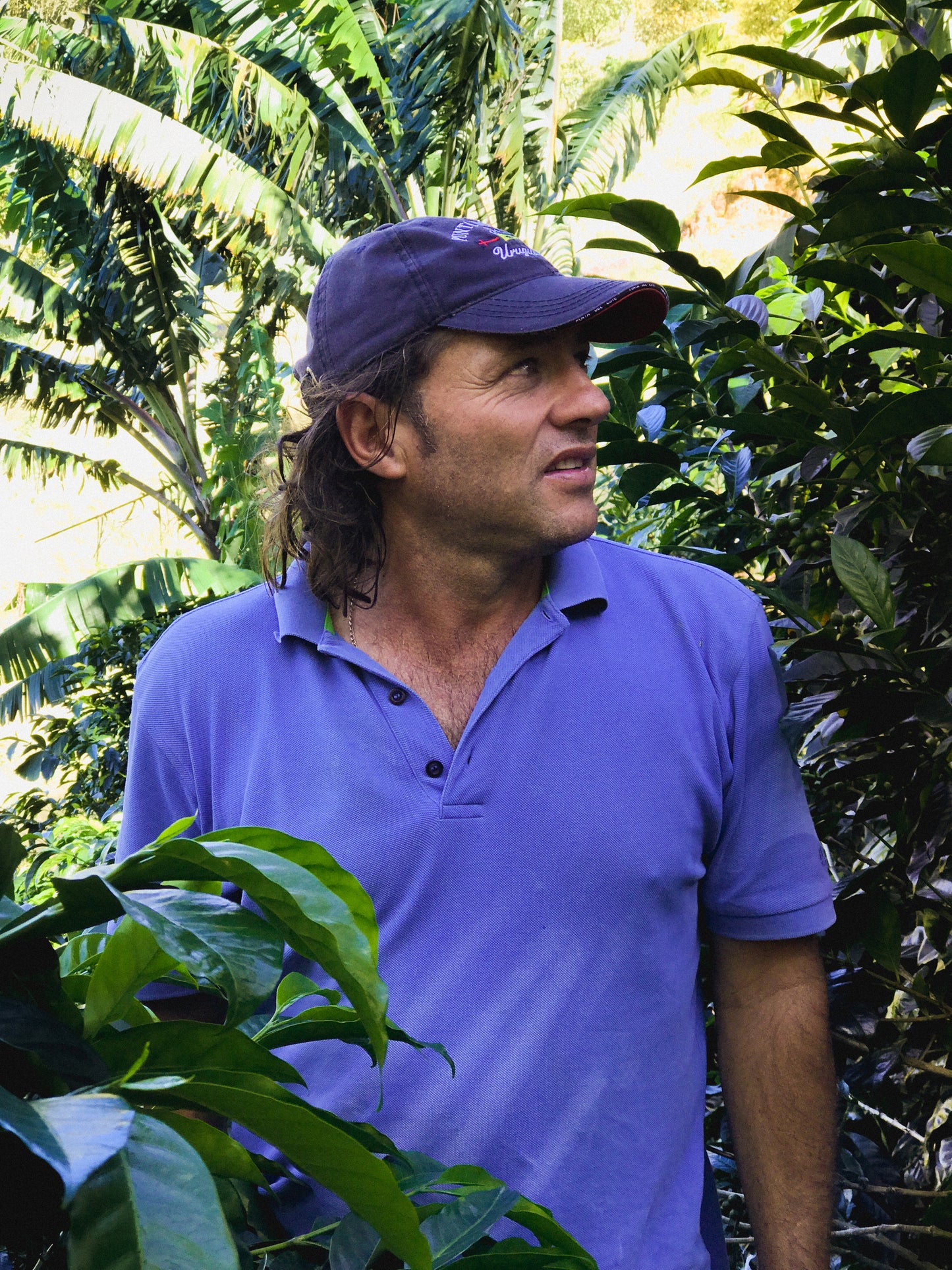 Roger Ureña's Catuai 🇨🇷