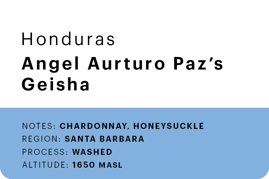 Angel Arturo Paz's Geisha 🇭🇳