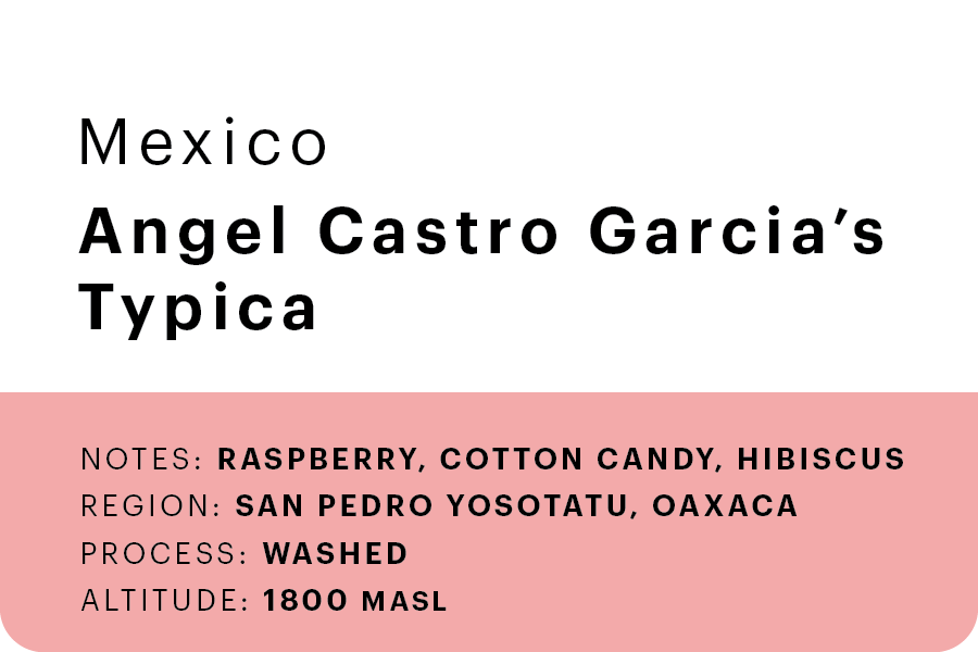 Angel Castro Garcia's Typica 🇲🇽
