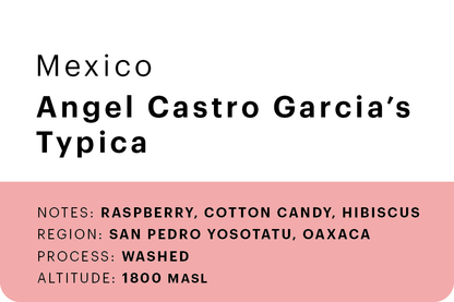Ángel Castro Garcia's Typica