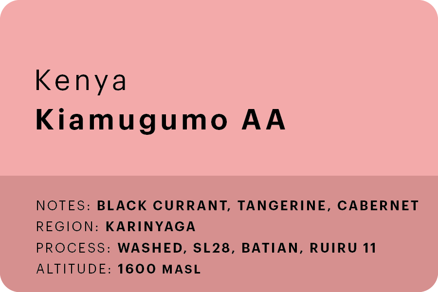 Kiamugumo AA 🇰🇪