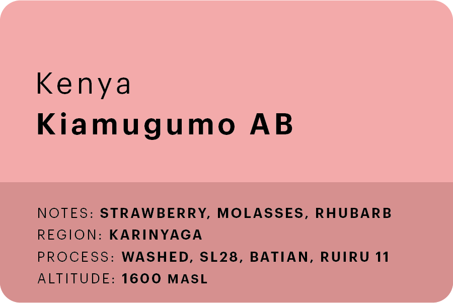 Kiamugumo AB 🇰🇪