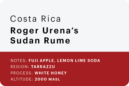 Roger Ureña's Sudan Rume