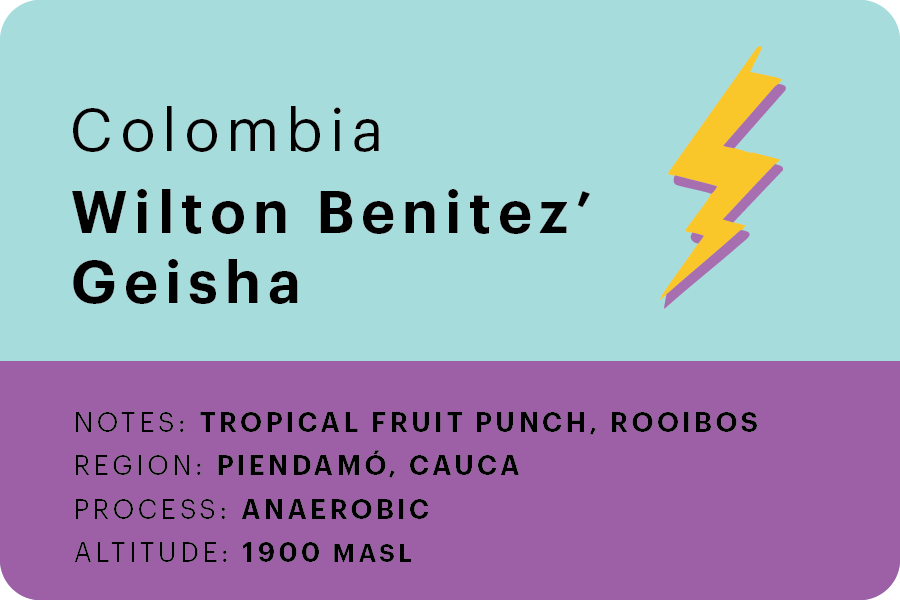 Wilton Benitez' Geisha 🇨🇴